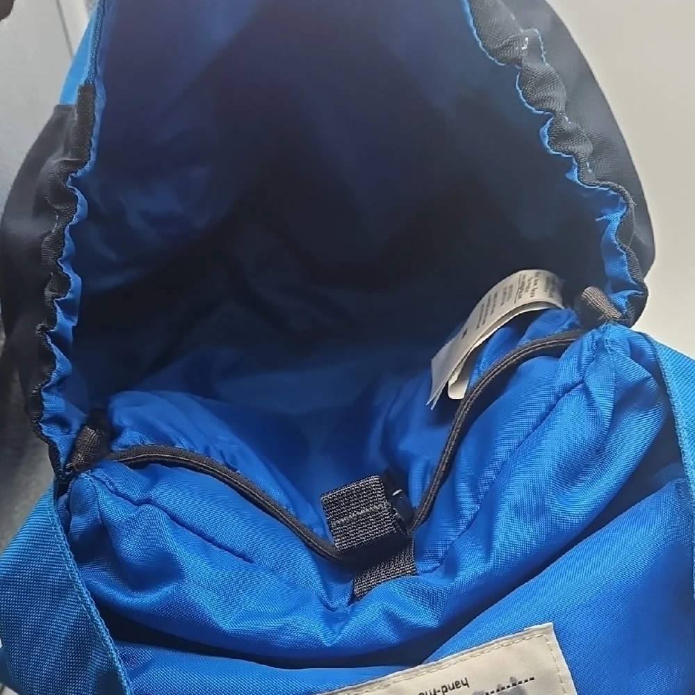 Patagonia Men's Backpack in Blue and Black